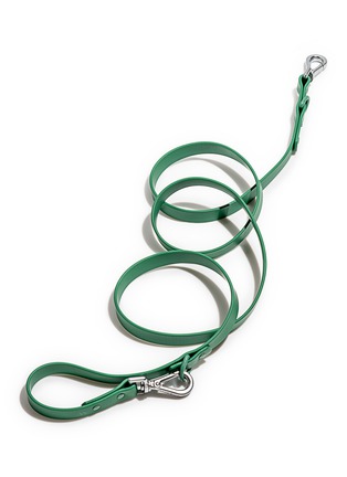 Main View - Click To Enlarge - WILD ONE - Small Dog Leash — Spruce