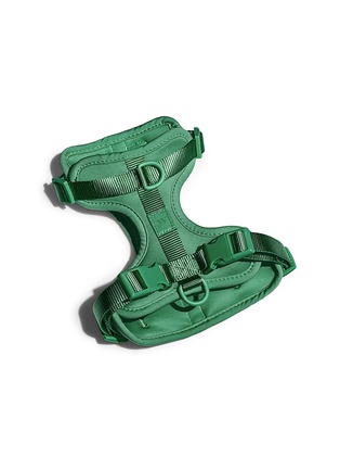 Main View - Click To Enlarge - WILD ONE - Medium Dog Harness — Spruce