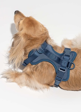  - WILD ONE - Large Dog Harness — Dark Blue