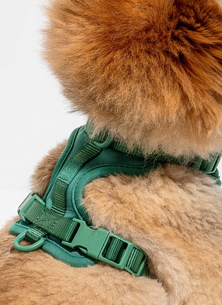  - WILD ONE - Small Dog Harness — Spruce