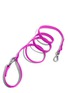 Main View - Click To Enlarge - WILD ONE - Small Dog Leash — Orchid
