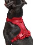  - WILD ONE - Large Dog Harness — Strawberry