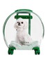 Detail View - Click To Enlarge - VETRESKA - Bubble Pet Carrier — Green/Transparent