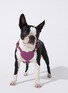  - BAURDELLE - Medium Heart Harness — Plum Purple