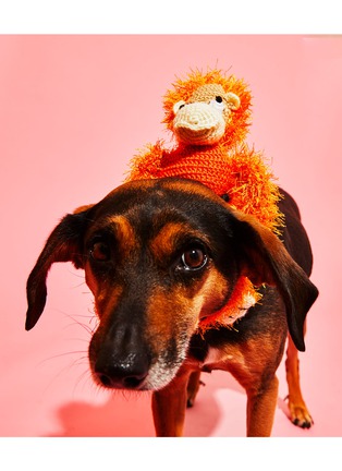 Detail View - Click To Enlarge - WARE OF THE DOG - Hairy Monkey Crochet Dog Toy