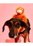 Detail View - Click To Enlarge - WARE OF THE DOG - Hairy Monkey Crochet Dog Toy