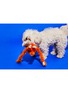 Detail View - Click To Enlarge - WARE OF THE DOG - Hairy Monkey Crochet Dog Toy