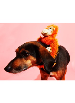  - WARE OF THE DOG - Hairy Monkey Crochet Dog Toy