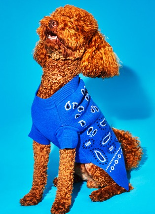 Detail View - Click To Enlarge - WARE OF THE DOG - Bandana Sweater Size 1 — Royal Blue/Black/White