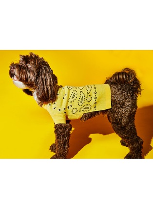 Detail View - Click To Enlarge - WARE OF THE DOG - Bandana Sweater Size 1 — Yellow/Black/White