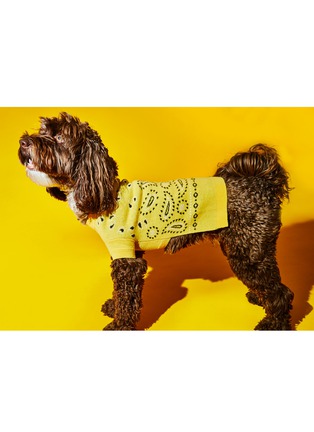 Detail View - Click To Enlarge - WARE OF THE DOG - Bandana Sweater Size 4 — Yellow/Black/White