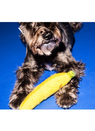 Detail View - Click To Enlarge - WARE OF THE DOG - Banana Felted Wool Dog Toy