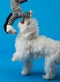 Detail View - Click To Enlarge - WARE OF THE DOG - Zebra Wool Knit Dog Toy