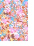 Detail View - Click To Enlarge - ST. JOHN - Botanica floral print georgette scarf