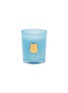 Main View - Click To Enlarge - CIRE TRUDON - Limited Edition Versailles Garden in Spring Scented Candle 70g