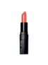 Main View - Click To Enlarge - BOBBI BROWN - Rich Lip Color - Bright Poppy