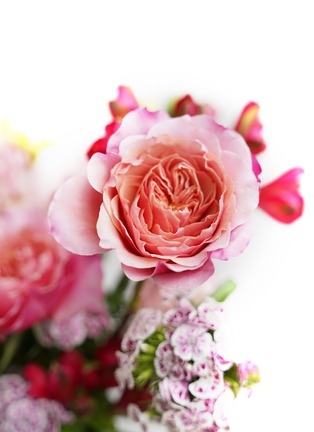  - ELLERMANN FLOWER BOUTIQUE - Pink Lady in a Vase