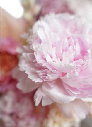  - ELLERMANN FLOWER BOUTIQUE - Pink Lady — Large