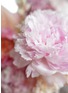  - ELLERMANN FLOWER BOUTIQUE - Pink Lady — Large