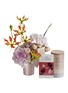 Main View - Click To Enlarge - ELLERMANN FLOWER BOUTIQUE - Pamper Pot Flower Gift Set