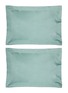 Main View - Click To Enlarge - CELSO DE LEMOS - Bourdon Pillowcase Set of 2 — Lichen