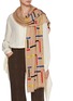 Figure View - Click To Enlarge - JANAVI - Multi Broken Lines Embroidered Merino Wool Scarf