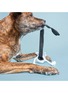  - THE FURRYFOLKS - Calamari Nosework Toy