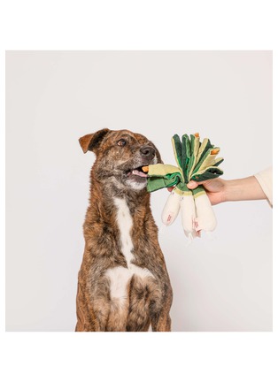  - THE FURRYFOLKS - Green Onion Nosework Toy