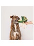  - THE FURRYFOLKS - Green Onion Nosework Toy