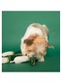 Front View - Click To Enlarge - THE FURRYFOLKS - Green Onion Nosework Toy