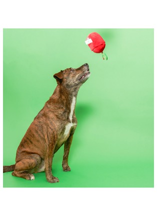 Back View - Click To Enlarge - THE FURRYFOLKS - Apple Nosework Toy