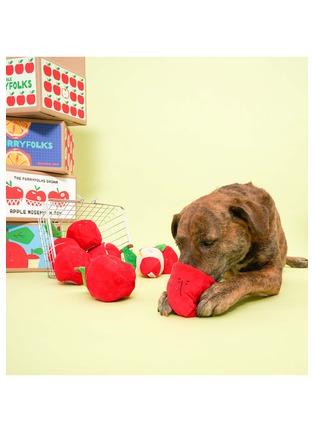 Front View - Click To Enlarge - THE FURRYFOLKS - Apple Nosework Toy