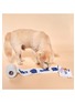 Back View - Click To Enlarge - THE FURRYFOLKS - Toilet Paper Nosework Toy