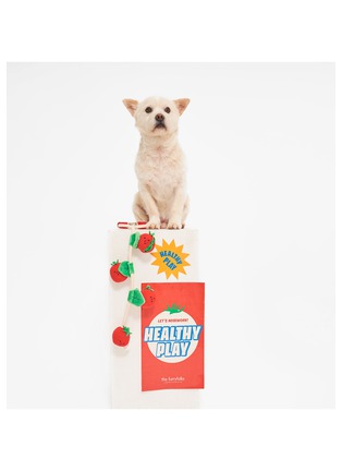  - THE FURRYFOLKS - Tomato Nosework & Tug Toy