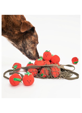 Back View - Click To Enlarge - THE FURRYFOLKS - Tomato Nosework & Tug Toy