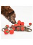 Back View - Click To Enlarge - THE FURRYFOLKS - Tomato Nosework & Tug Toy