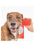 Front View - Click To Enlarge - THE FURRYFOLKS - Tomato Nosework & Tug Toy