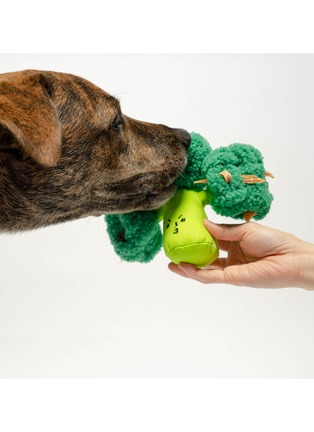  - THE FURRYFOLKS - Broccoli Nosework Toy