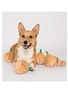  - THE FURRYFOLKS - Yellow Onion Nosework Toy