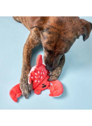  - THE FURRYFOLKS - Crab Nosework Toy