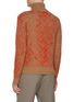 Back View - Click To Enlarge - PIACENZA 1733 - Contrast Turtleneck Virgin Wool Sweater