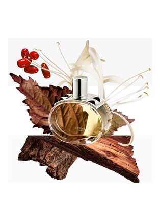 Detail View - Click To Enlarge - HERMÈS - Barénia Eau de Parfum Natural Spray 60ml