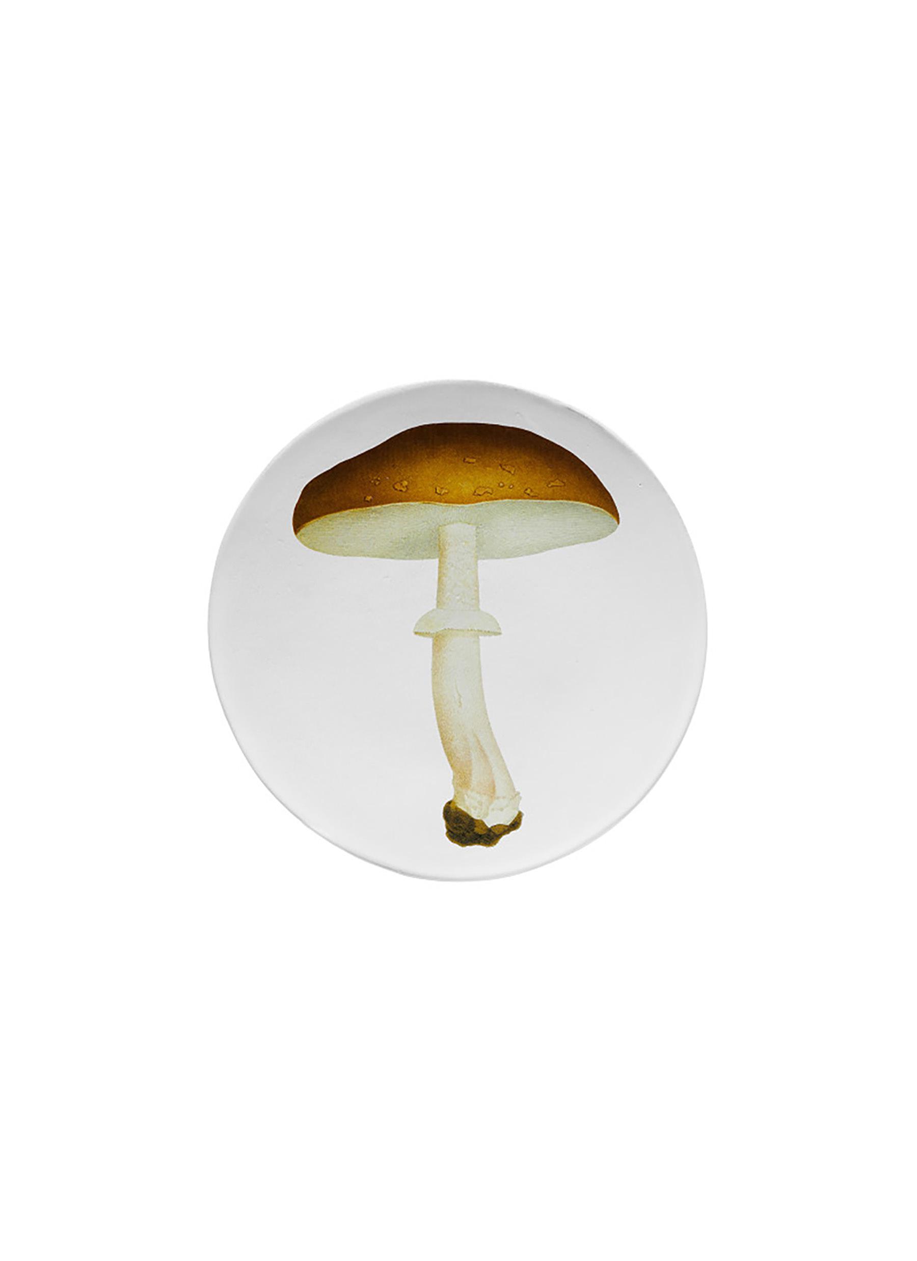 ASTIER DE VILLATTE | X John Derian Agaric Blanc Fauve Dinner Plate