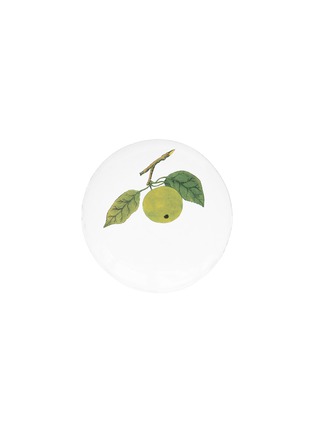 Main View - Click To Enlarge - ASTIER DE VILLATTE - X John Derian Medium Apple Plate