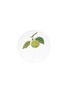 Main View - Click To Enlarge - ASTIER DE VILLATTE - X John Derian Medium Apple Plate