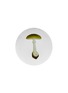 Main View - Click To Enlarge - ASTIER DE VILLATTE - X John Derian Agaric Bulbeux Dinner Plate