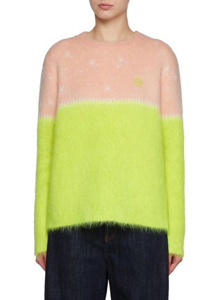 Main View - Click To Enlarge - LOEWE - Crewneck Hybrid Mohair Wool Blend Sweater