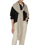 Figure View - Click To Enlarge - ARCH4 - Amelie Cashmere Scarf