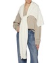 Figure View - Click To Enlarge - ARCH4 - Amelie Cashmere Scarf