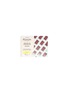 Main View - Click To Enlarge - MERCATO GOURMET BY GIANDO - Lavoratti Frozen Gelato Chocolate Lemon 12pc